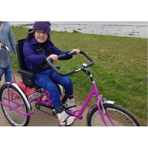The Easyrider Semi-Recumbent Tricycle - Image 4